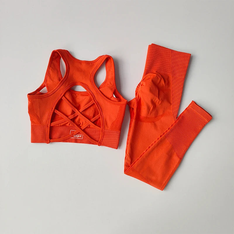 2-Piece Sports Bra Set - Shockproof Fitness