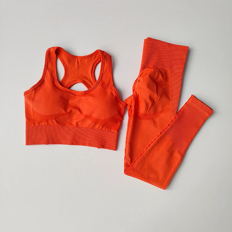 2-Piece Sports Bra Set - Shockproof Fitness