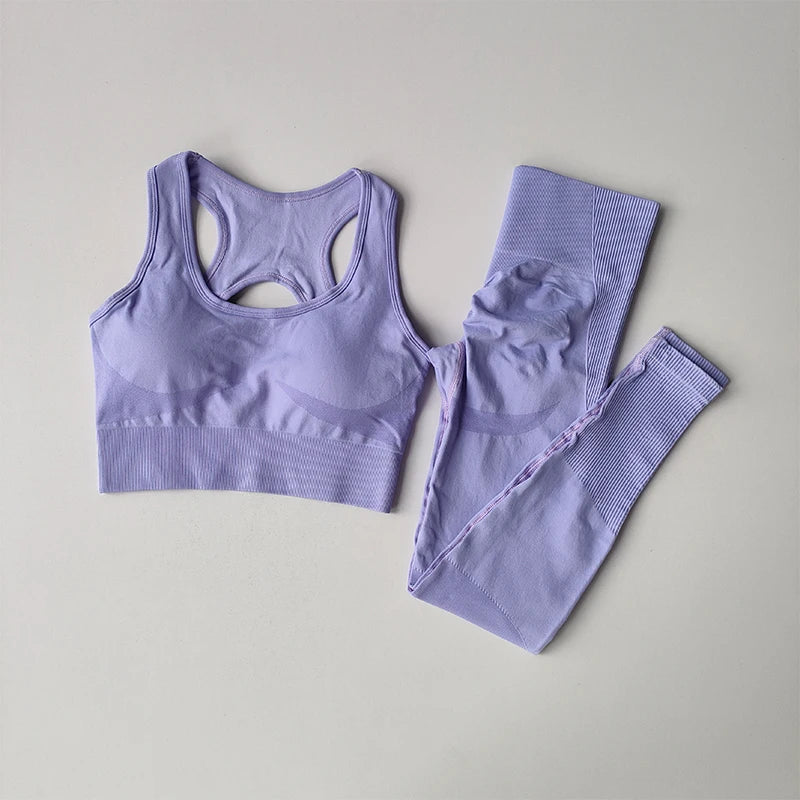 2-Piece Sports Bra Set - Shockproof Fitness