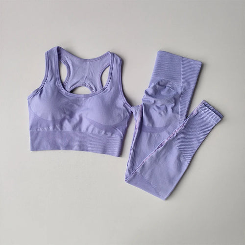 2-Piece Sports Bra Set - Shockproof Fitness